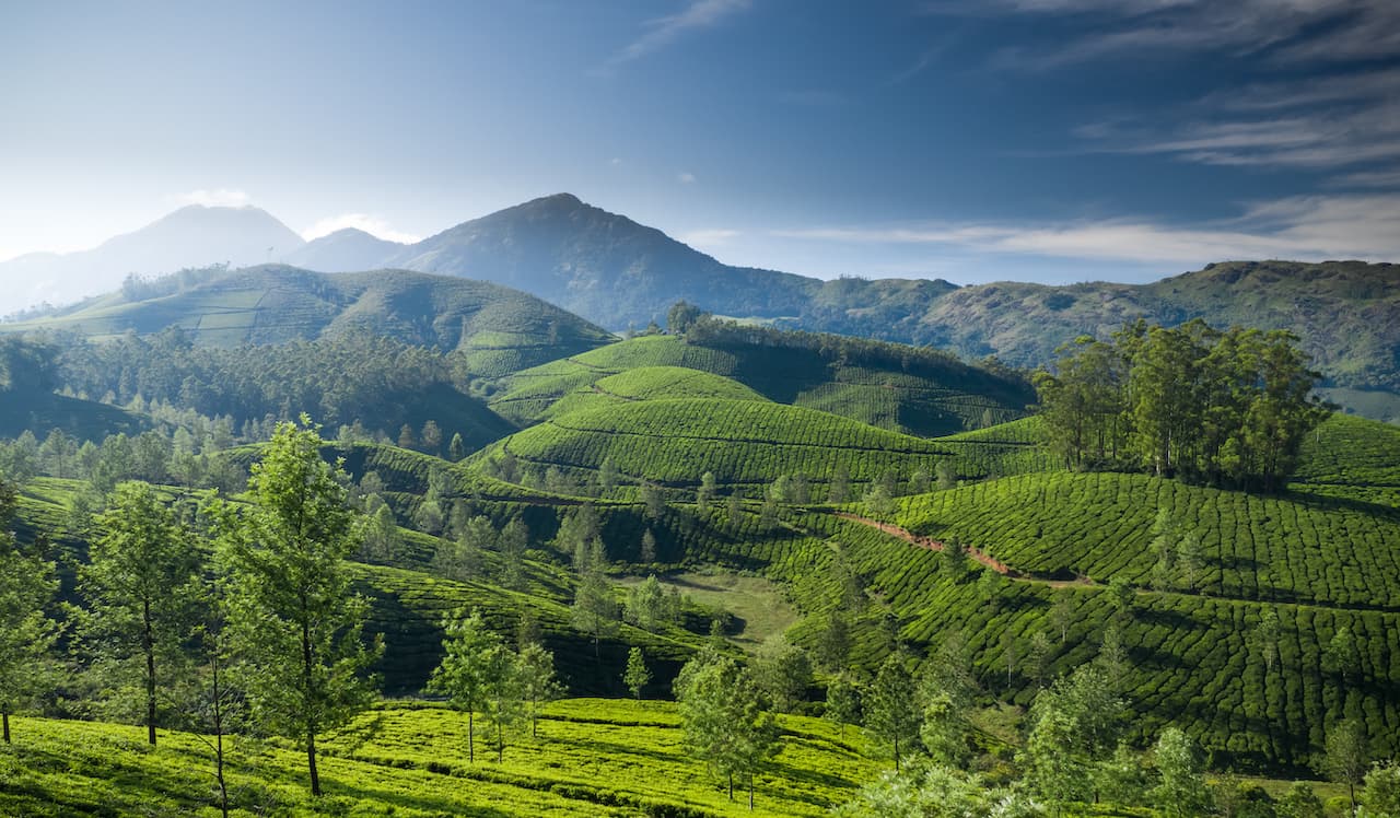 Kerala Tour