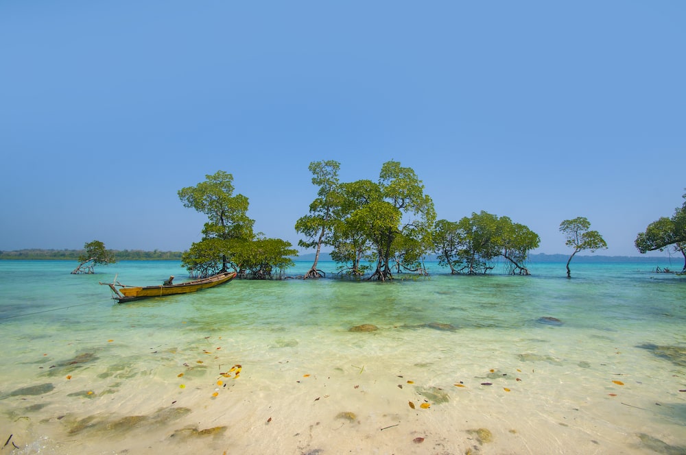Andaman Bliss