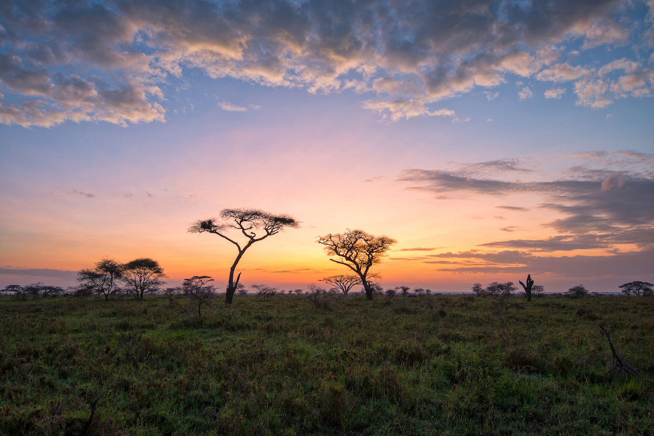 Tanzania Safari Adventure