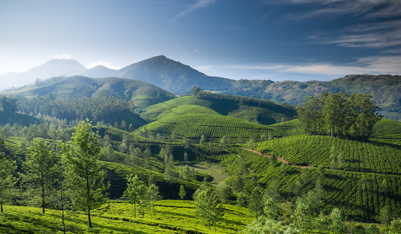 Kerala Tour